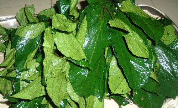 Ugu Leaves | Vegetables In Nigeria, Types, Recipes